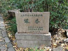 -秋霞圃