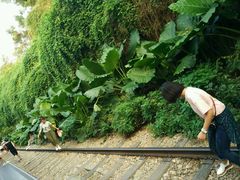 -铁路文化公园