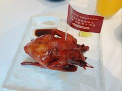 -侨美食家·41年地道粤菜(珠江新城店)