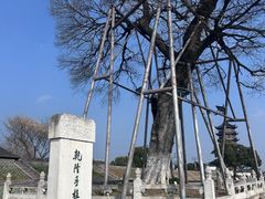 -观潮胜地公园