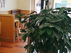 -德克士(深泽店)