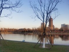 -西海子公园