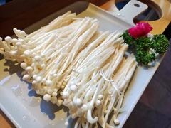 金针菇-煲宫猪肚鸡(晶品店)