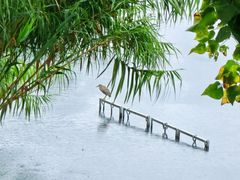 -重庆彩云湖湿地公园