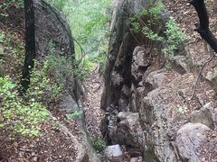 -佛慧山