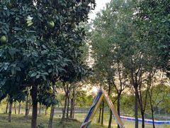 -太阳岛度假酒店