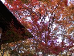-常寂光寺