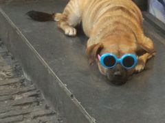 -双东酒店(东关街店)