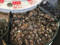 -益利大酒楼(井岸店)