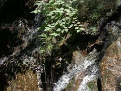 -藏龙百瀑风景区