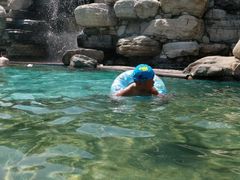 -仁爱团泊湖温泉中心