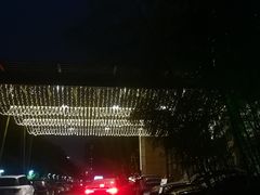 -常州环球恐龙城维景国际大酒店