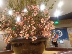 -黑松白鹿(崇文门新活馆店)