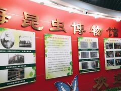 -上海昆虫博物馆