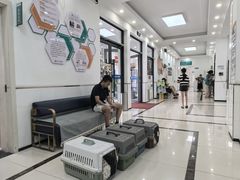 -派美特宠物医院·核磁CT·骨科肿瘤·疑难转诊(沈农禾丰店)
