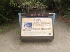 -卡定沟景区