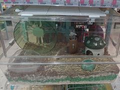 -FAELING PETS美天灵宠物(合生汇店)