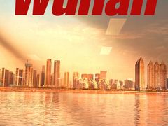 -武汉关码头(轮渡站)