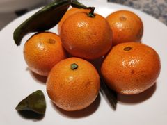 -四季民福烤鸭店(外滩外白渡桥店)