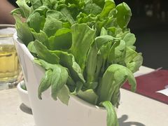 -浩爷羊蝎子火锅(望京店)