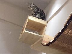 -万小咖.猫咖(中山路天虹店)