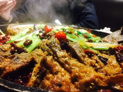 -老板恋上鱼(恒隆广场店)