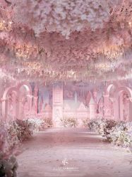 -红丝高端婚礼中心(旗舰店)