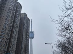 -陕西自然博物馆