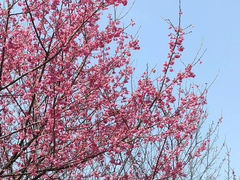 -福清灵石山国家森林公园