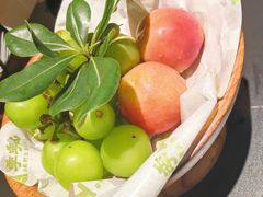 -季季山·云南野生菌火锅(上海首店)