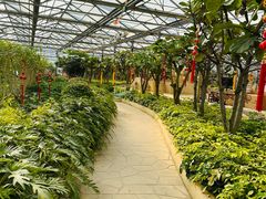 -南宫五洲植物乐园