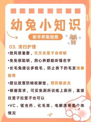 -神奇动物撸宠馆·羊驼·小浣熊·异宠(豫园店)