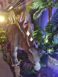 -恐龙探索乐园(磁器口店)