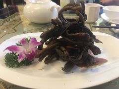 -新聚丰菜馆(太监弄店)