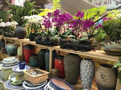 -双季花艺园艺市场(浦东店)