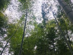 -陶祖圣境风景区