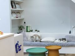 -拜鲁耶动物诊疗中心·宠家动物医院