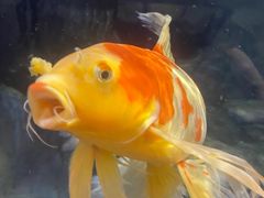 -上海海洋水族馆