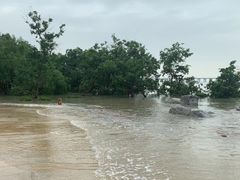 -宝安西湾红树林湿地公园