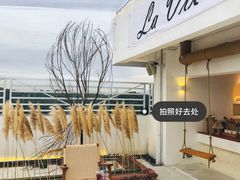 -Blue Concept Cafe&Farm·關於藍