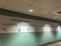 -巴塞罗那约瑟·塔拉德利亚斯-埃尔·普拉特机场