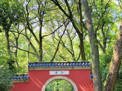-灵谷景区