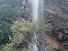 -少华山国家森林公园