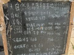 -大自然农场蔬菜草莓采摘园