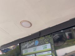 -圣淘沙天际线斜坡滑车