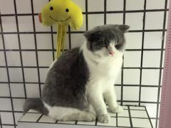 -娜娜家•Nana’Garden (福州道店)