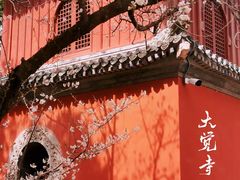 -大觉寺-停车场