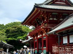 -镰仓 峰本(八幡宫前本店)