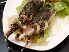小青龙-吉友粥底火锅(方斜路店)