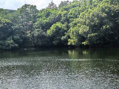 -杭州半山国家森林公园